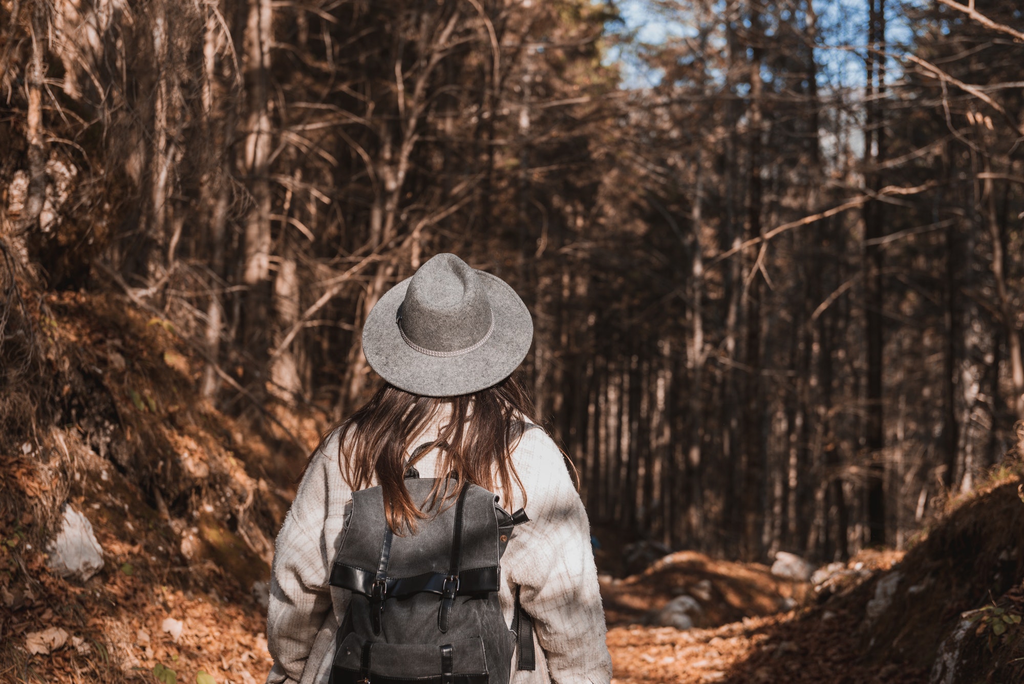 Rear view of girl wearing backpack, hiking in forest in autumn
