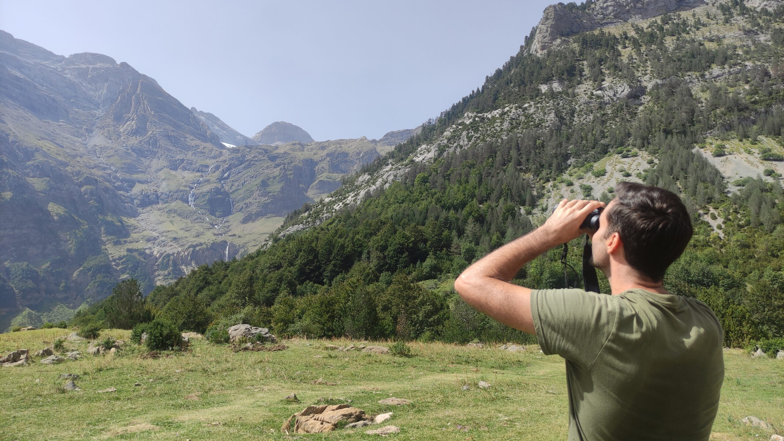 Persona contemplando un paisaje montañoso en primavera, rodeada de naturaleza