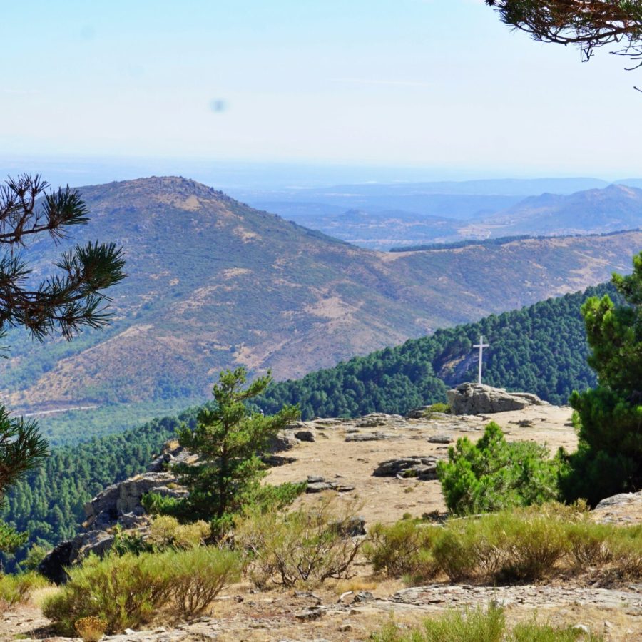 Sendero de montaña con vistas a una cruz en lo alto, rodeado de pinares en la Sierra de Guadarrama.