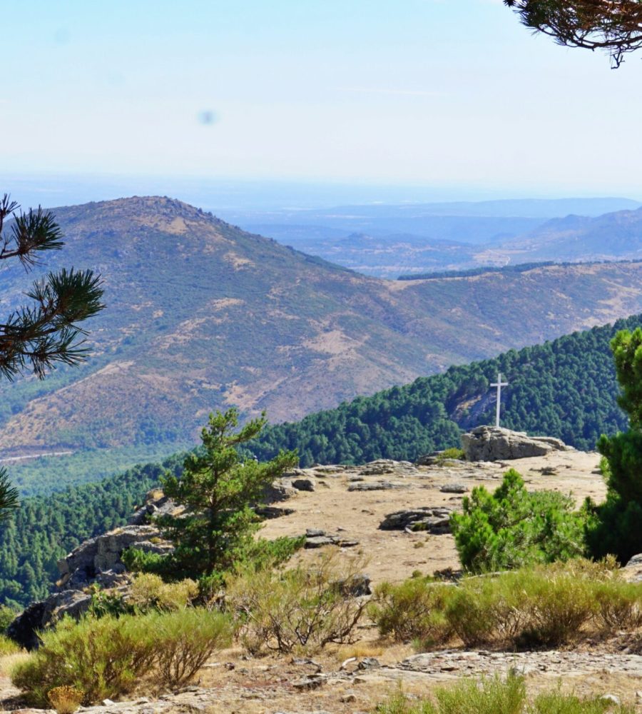 Sendero de montaña con vistas a una cruz en lo alto, rodeado de pinares en la Sierra de Guadarrama.