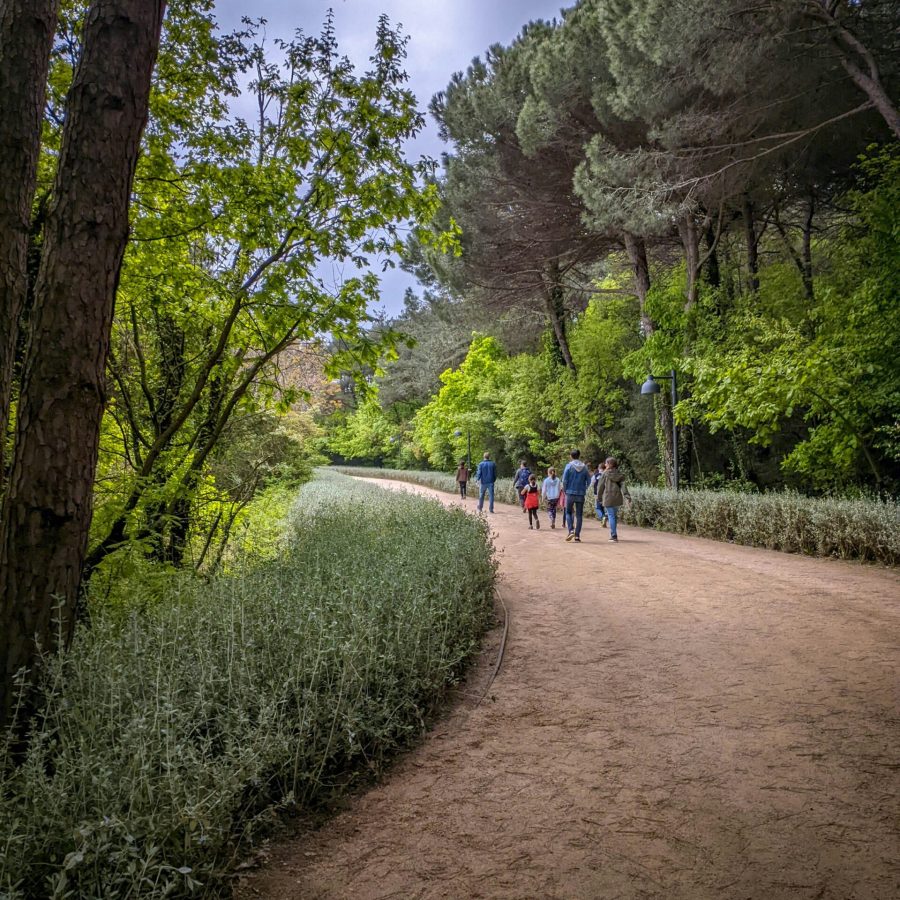 hassan-ali-5U8ZSYf_CxQ-unsplash
