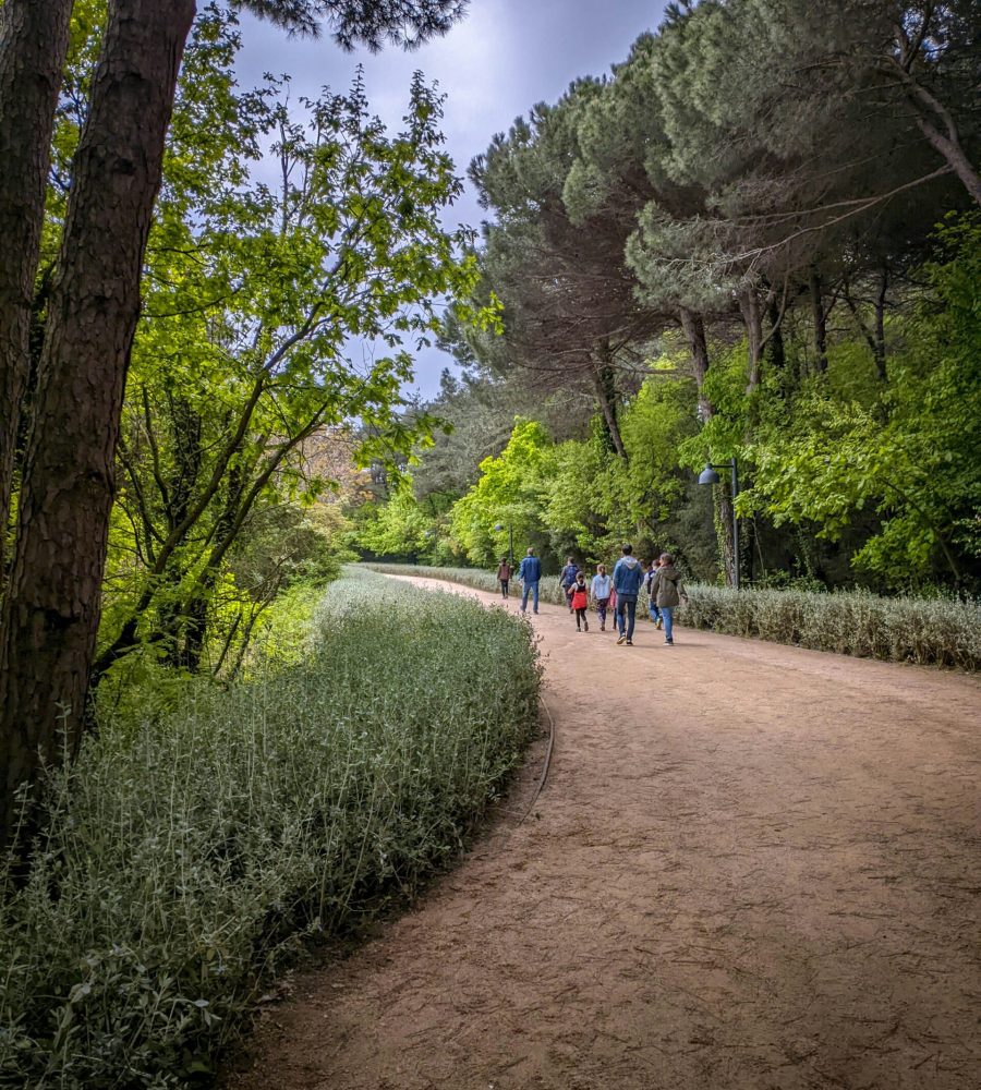 hassan-ali-5U8ZSYf_CxQ-unsplash